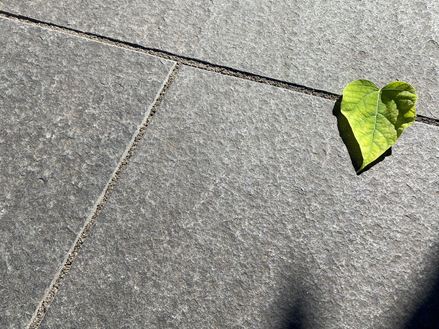 Les dalles en basalte Takeda vues de haut avec feuille